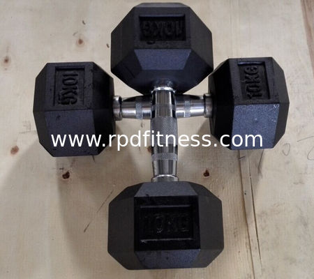 China Casting Dumbbell in GYM supplier