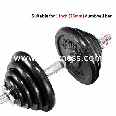 China Anti Rust Cast Iron 25kg 5Kg Bumper Weight Plates supplier