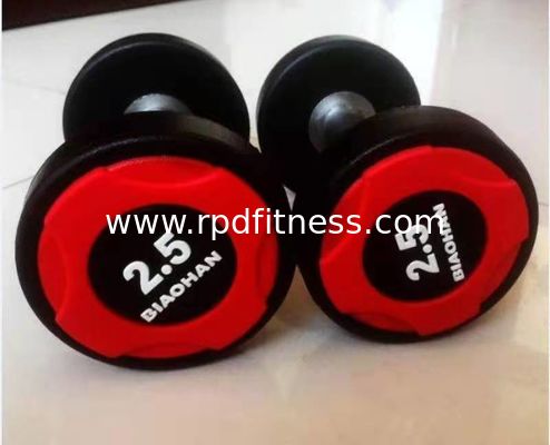 China Custom Adult 2.5kg Gym Fitness Dumbbell Rubber And Steel Material supplier
