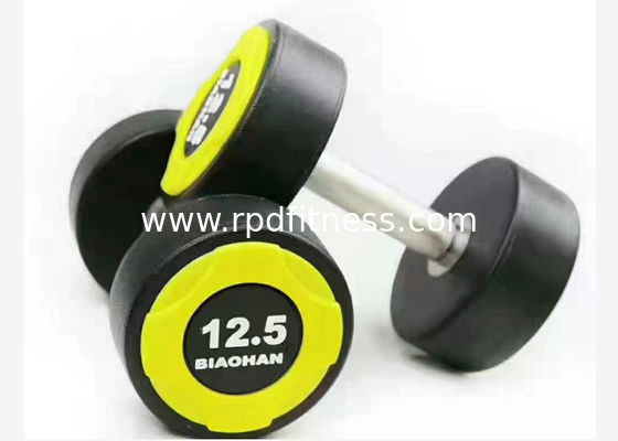 China 5kg Round Rubber Head Dumbbells For Home Exercise supplier