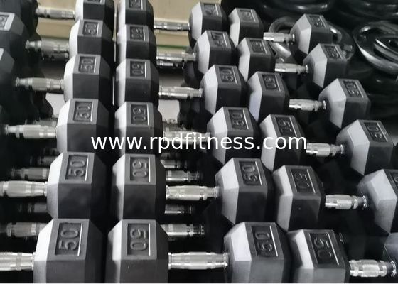 China Home Rubber Encased Hex Dumbbell 2 Pack 10LB Non Slip Ergonomic Hand Weights For Muscle supplier