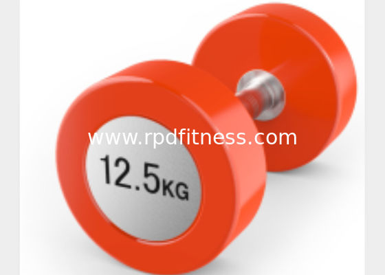 Durable Gym Fitness Dumbbell / Gym Accessory PU Dumbbell Color Optional supplier