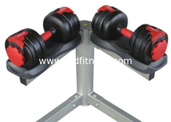 Custom RAPID Stainless Steel Dumbbells Logo Available For Gym Fitness supplier