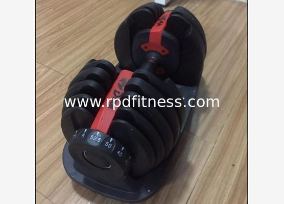 Exercise Cement Adjustable 12.5lbs Gym Fitness Dumbbell supplier