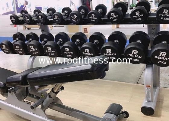 1540MM PU 3.0mm Pipe Multifunctional Weight Lifting Bench supplier